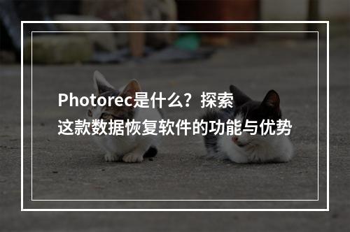 Photorec是什么?探索这款数据恢复软件的功能与优势