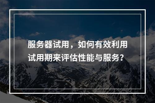 服务器试用,如何有效利用试用期来评估性能与服务?