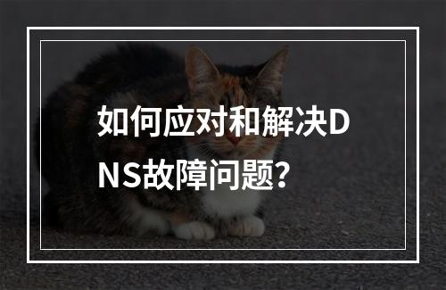 如何应对和解决DNS故障问题?