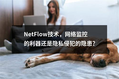 NetFlow技术,网络监控的利器还是隐私侵犯的隐患?