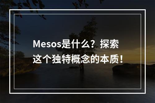 Mesos是什么?探索这个独特概念的本质!