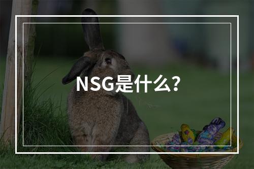 NSG是什么?