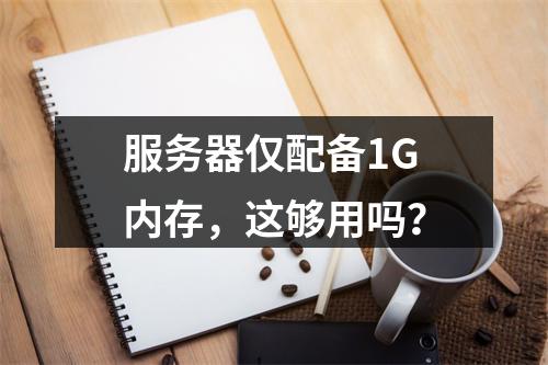 服务器仅配备1G内存,这够用吗?