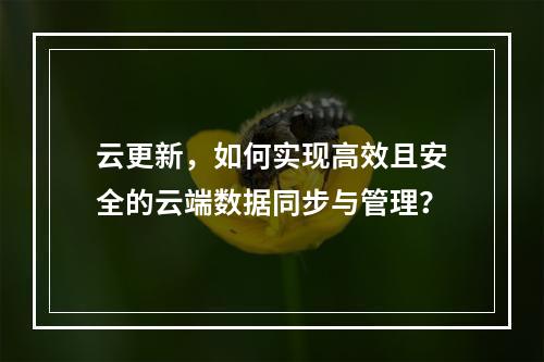 云更新,如何实现高效且安全的云端数据同步与管理?