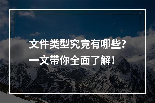 文件类型究竟有哪些?一文带你全面了解!