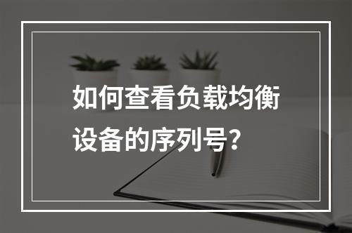 如何查看负载均衡设备的序列号?