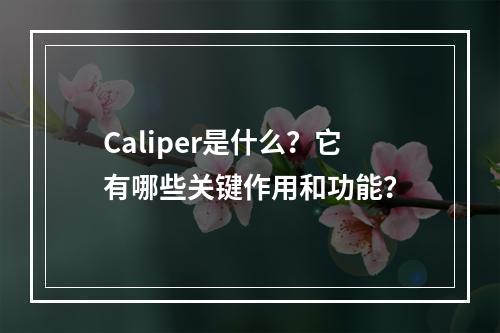 Caliper是什么?它有哪些关键作用和功能?