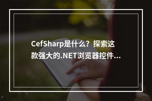 CefSharp是什么?探索这款强大的.NET浏览器控件的功能与应用