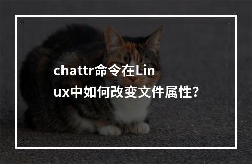 chattr命令在Linux中如何改变文件属性?