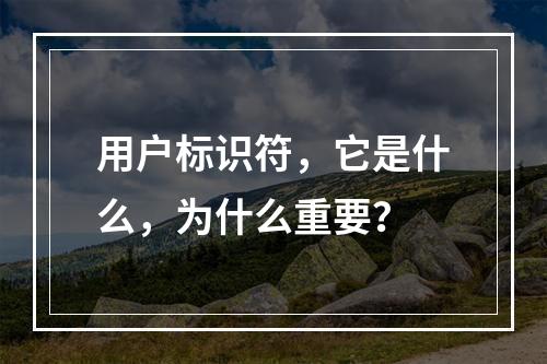 用户标识符,它是什么,为什么重要?