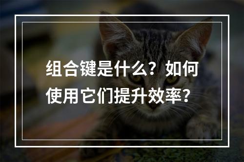 组合键是什么?如何使用它们提升效率?