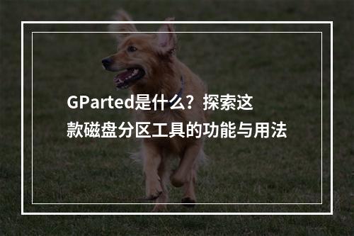 GParted是什么?探索这款磁盘分区工具的功能与用法