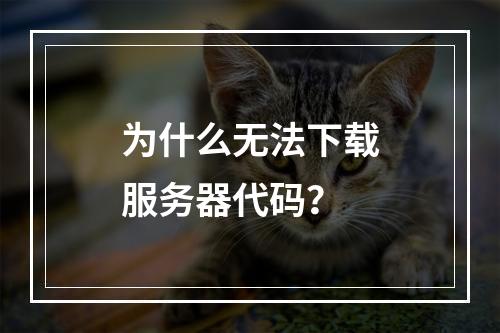 为什么无法下载服务器代码?
