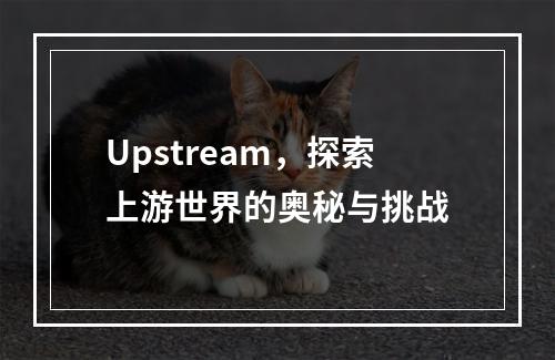 Upstream,探索上游世界的奥秘与挑战