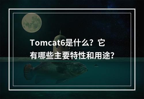 Tomcat6是什么?它有哪些主要特性和用途?