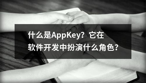 什么是AppKey?它在软件开发中扮演什么角色?