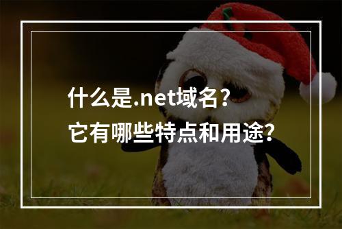 什么是.net域名?它有哪些特点和用途?