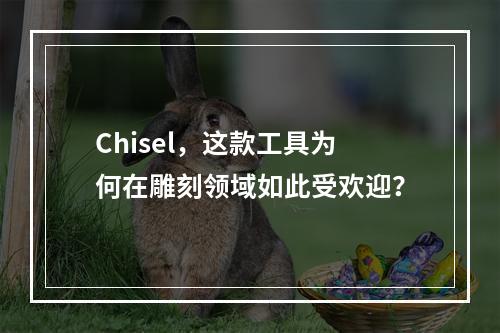 Chisel,这款工具为何在雕刻领域如此受欢迎?