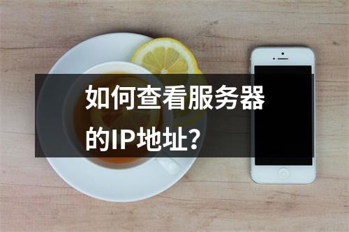 如何查看服务器的IP地址?