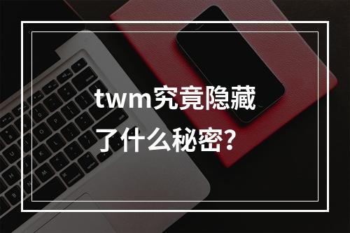 twm究竟隐藏了什么秘密?
