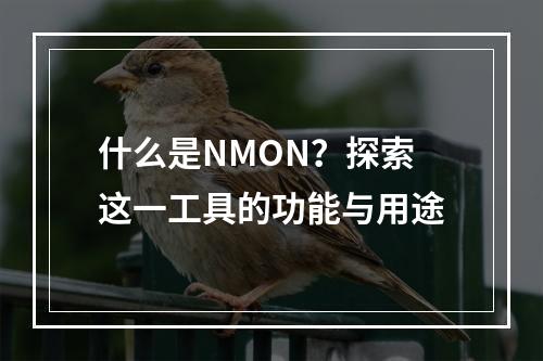 什么是NMON?探索这一工具的功能与用途