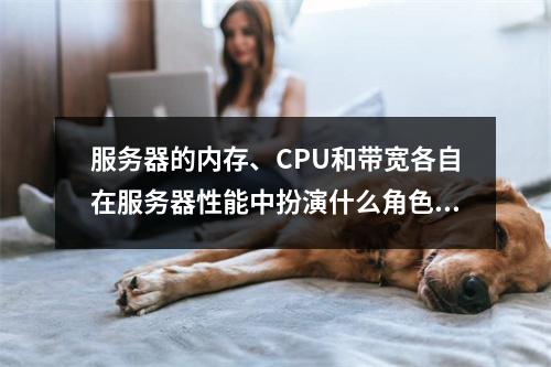 服务器的内存、CPU和带宽各自在服务器性能中扮演什么角色?