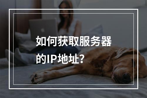 如何获取服务器的IP地址?