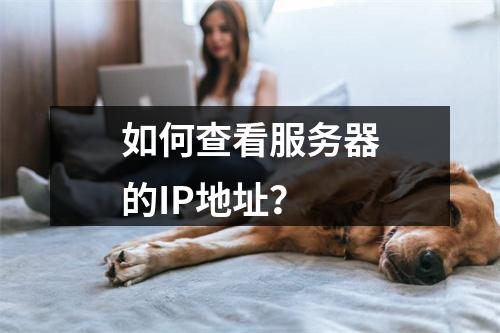 如何查看服务器的IP地址?