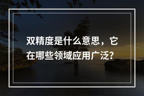 双精度是什么意思,它在哪些领域应用广泛?