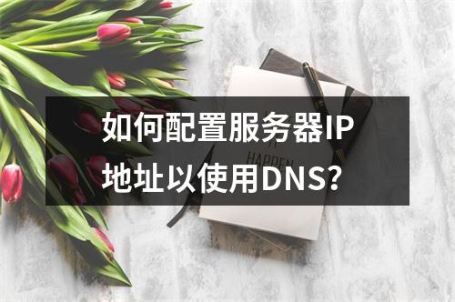 如何配置服务器IP地址以使用DNS?