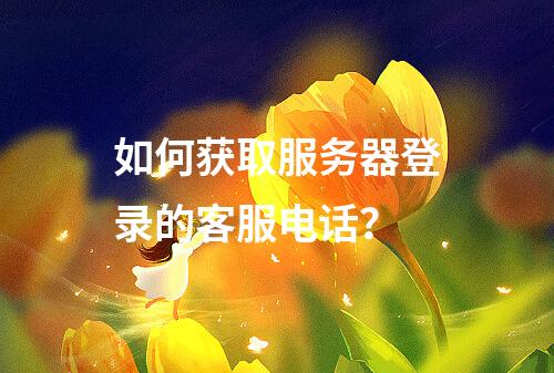 如何获取服务器登录的客服电话?