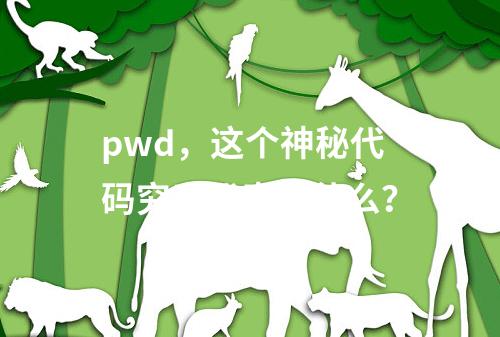 pwd,这个神秘代码究竟代表了什么?