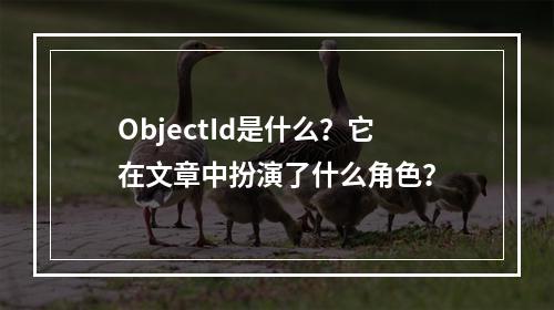 ObjectId是什么?它在文章中扮演了什么角色?
