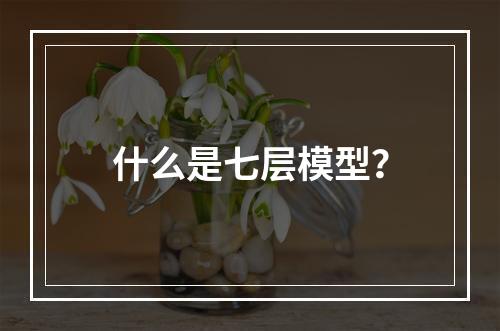 什么是七层模型?
