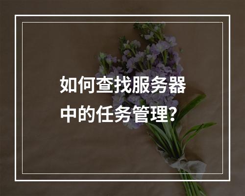 如何查找服务器中的任务管理?