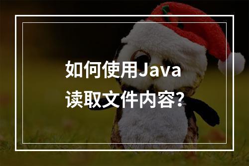 如何使用Java读取文件内容?