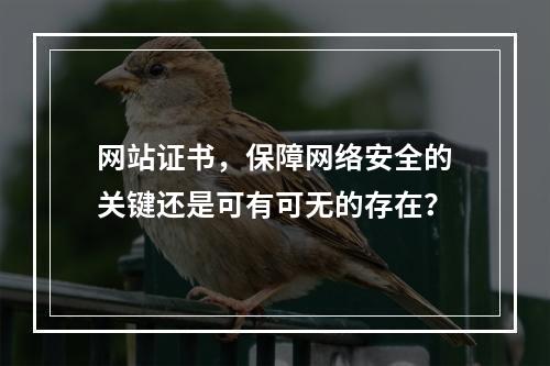 网站证书,保障网络安全的关键还是可有可无的存在?