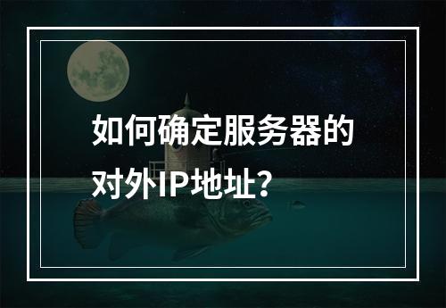 如何确定服务器的对外IP地址?
