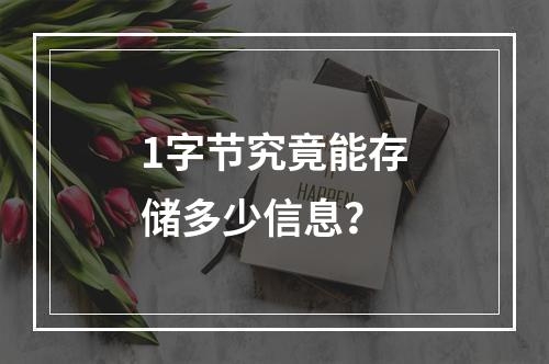 1字节究竟能存储多少信息?