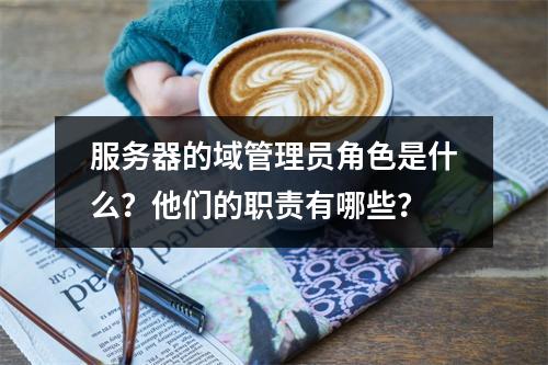 服务器的域管理员角色是什么?他们的职责有哪些?