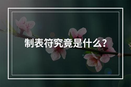 制表符究竟是什么?