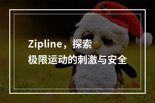 Zipline,探索极限运动的刺激与安全