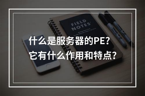 什么是服务器的PE?它有什么作用和特点?