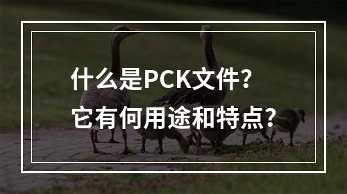 什么是PCK文件?它有何用途和特点?