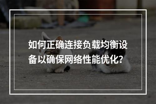 如何正确连接负载均衡设备以确保网络性能优化?