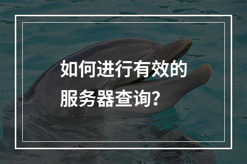 如何进行有效的服务器查询?