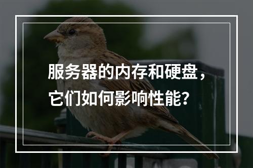 服务器的内存和硬盘,它们如何影响性能?