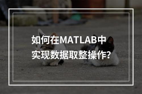 如何在MATLAB中实现数据取整操作?