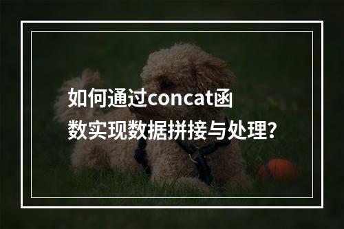 如何通过concat函数实现数据拼接与处理?