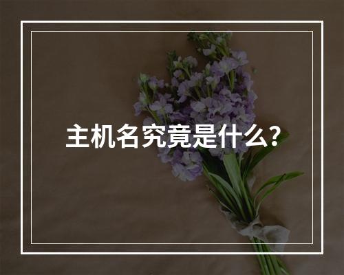 主机名究竟是什么?